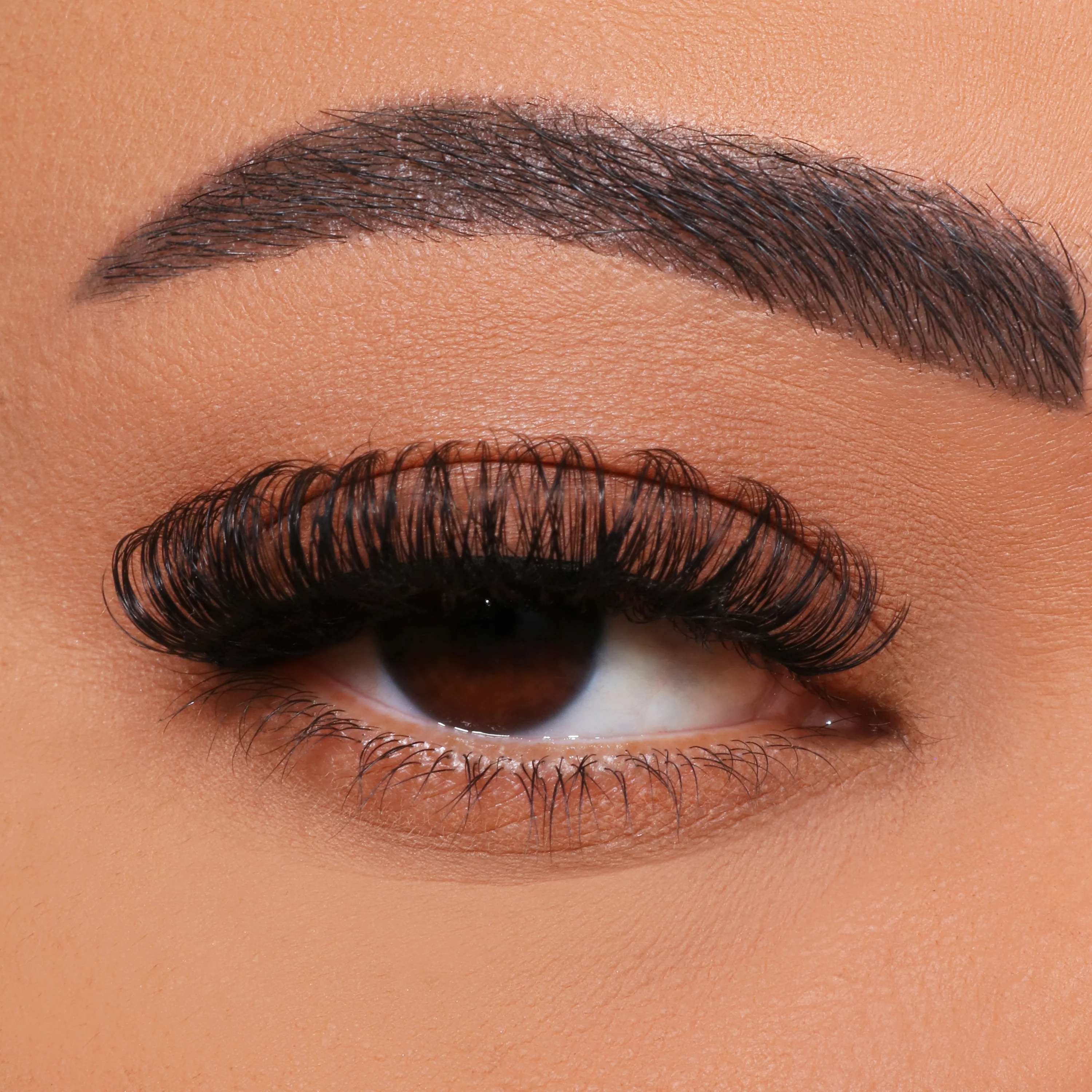 マルチフラワーのまつげグラフトをDIYする方法は？